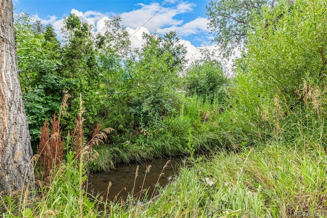 11023 W 67th Way, Arvada, CO 80004 - photo 34