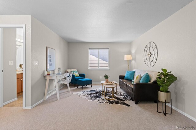 2629 Wisteria Dr, Erie, CO 80516 - photo 26