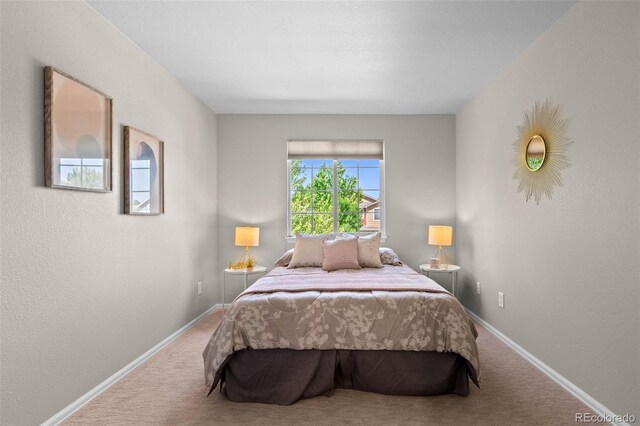 2629 Wisteria Dr, Erie, CO 80516 - photo 29