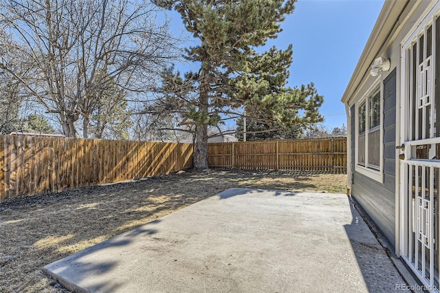 view of yard featuring a patio and a fenced backyard