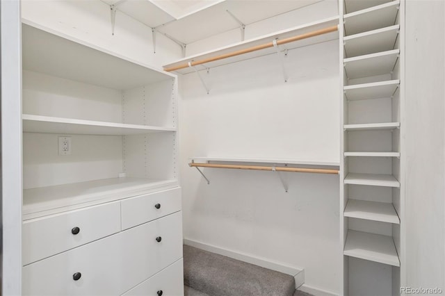 2945 E 26th Avenue Parkway, Denver, CO 80205 - spacious closet with carpet floors