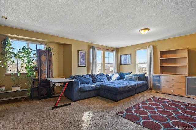 carpeted living room with a textured ceiling