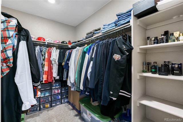 spacious closet featuring carpet