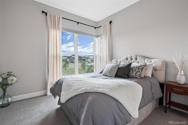 bedroom with baseboards and carpet floors