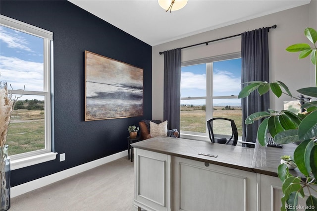 office space with light colored carpet and baseboards