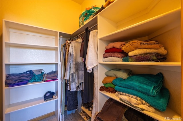 6752 S Columbine Rd, Evergreen, CO 80439 - spacious closet featuring carpet