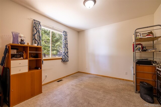 6752 S Columbine Rd, Evergreen, CO 80439 - office space with carpet floors and baseboards