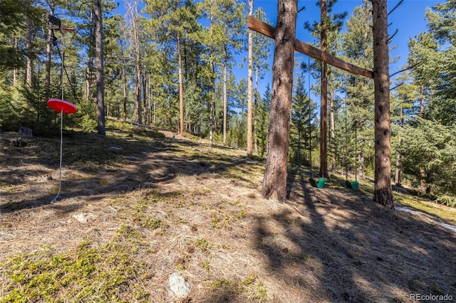 6752 S Columbine Rd, Evergreen, CO 80439 - view of yard