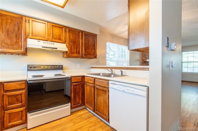 kitchen with light hardwood / wood-style floors, sink, white appliances, and a wealth of natural light