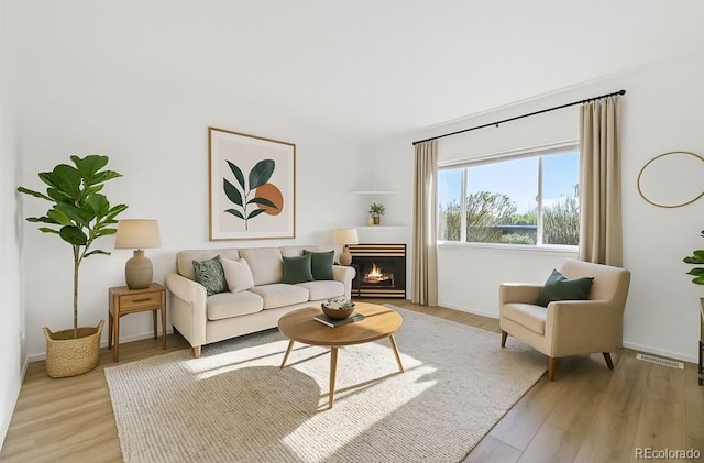 2644 Devonshire Ct, Denver, CO 80229 - living area featuring light wood-type flooring and a lit fireplace