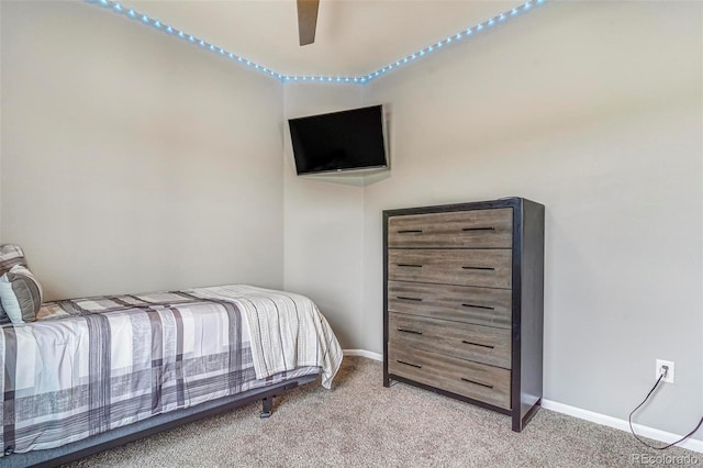 581 Park Blvd, Brighton, CO 80603 - photo 10
