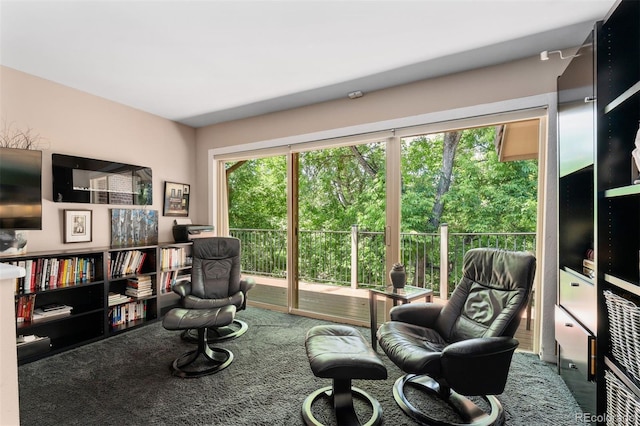 2601 S Quebec St Unit 11, Denver, CO 80231 - living area with carpet flooring