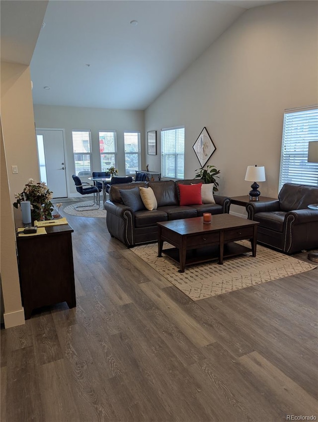living area featuring baseboards, wood finished floors, and high vaulted ceiling