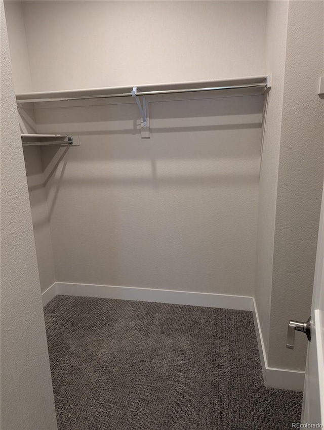 walk in closet featuring carpet