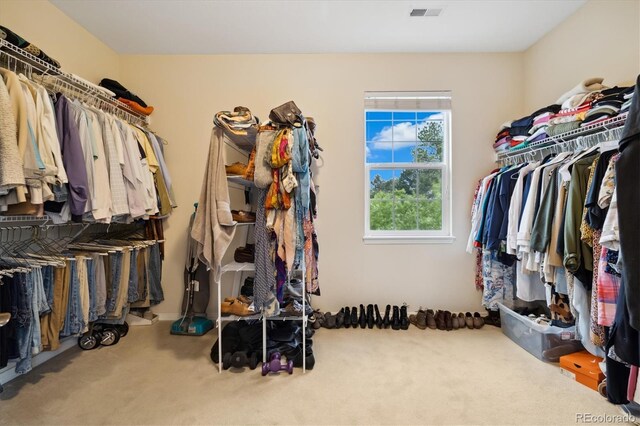 24422 E Frost Dr, Aurora, CO 80016 - walk in closet featuring carpet