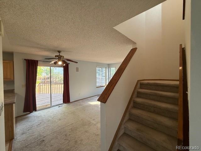 13192 Bryant Cir, Broomfield, CO 80020 - photo 34
