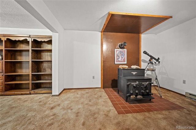 carpeted living room with a wood stove