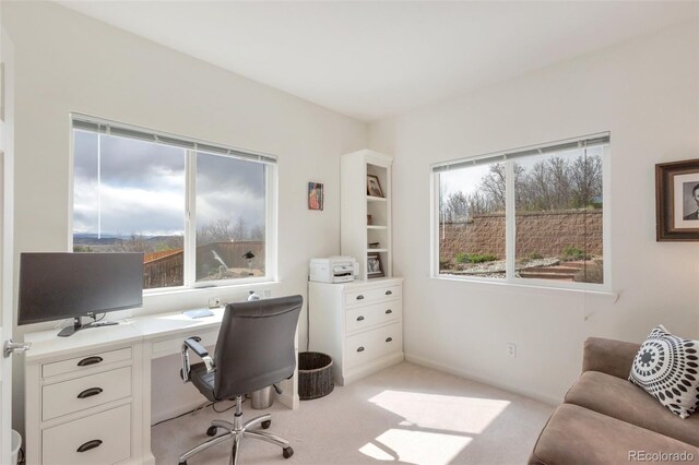 home office with light colored carpet