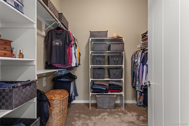 8272 E 55th Pl, Denver, CO 80238 - walk in closet with carpet
