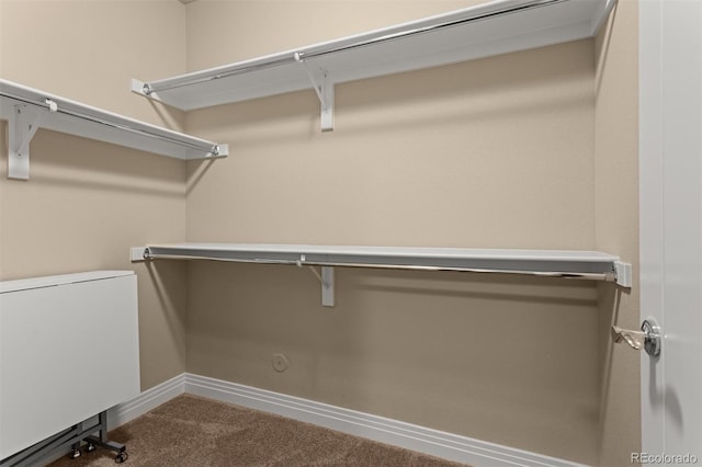 8272 E 55th Pl, Denver, CO 80238 - walk in closet featuring dark carpet