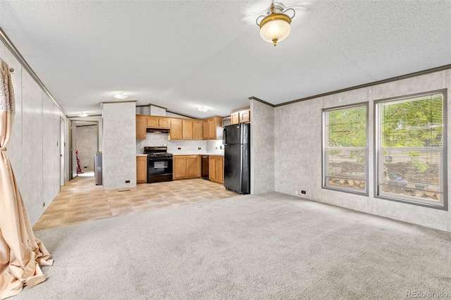 715 E Chester St, Lafayette, CO 80026 - unfurnished living room with lofted ceiling, light carpet, and a textured ceiling