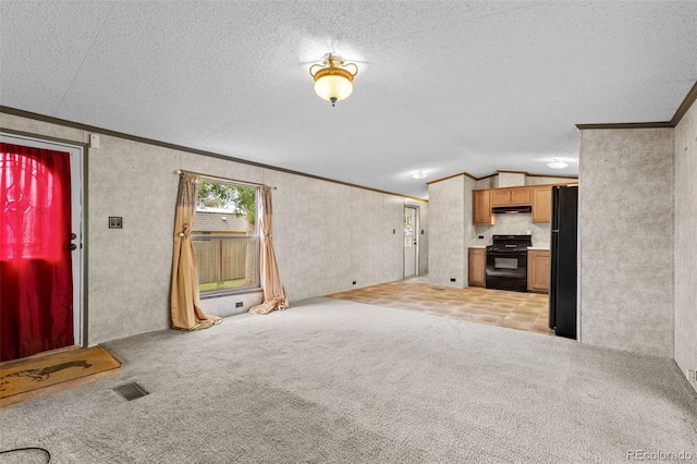 715 E Chester St, Lafayette, CO 80026 - unfurnished living room with vaulted ceiling, ornamental molding, a textured ceiling, and light carpet