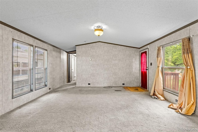 715 E Chester St, Lafayette, CO 80026 - unfurnished room with crown molding, carpet flooring, a textured ceiling, and lofted ceiling