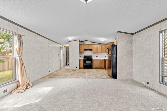 715 E Chester St, Lafayette, CO 80026 - unfurnished living room featuring lofted ceiling, plenty of natural light, light colored carpet, and a textured ceiling