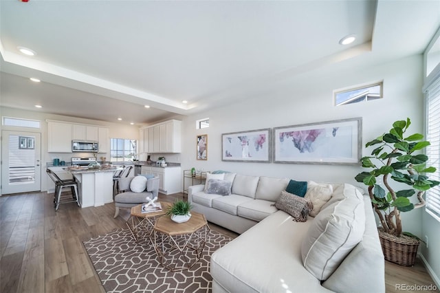 living room featuring a raised ceiling and wood-type flooring