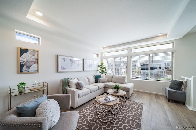 living room featuring light hardwood / wood-style floors and a raised ceiling