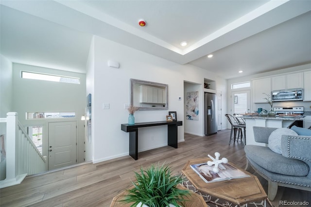 living room featuring light hardwood / wood-style flooring