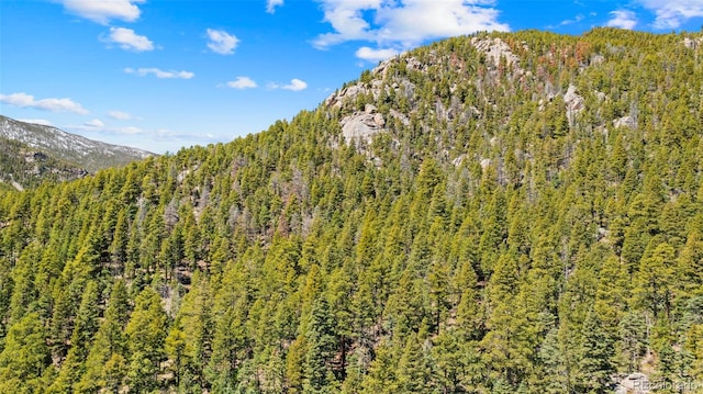 161 Highland Cir, Rye, CO 81069 - view of mountain background featuring a forest