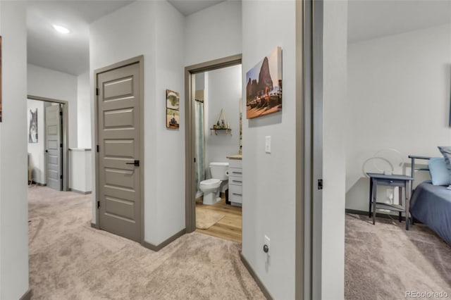 4021 S Teller St, Lakewood, CO 80235 - photo 17