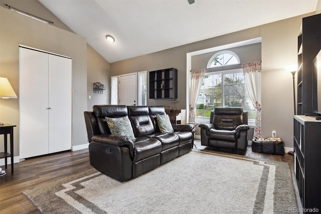 21125 E 43rd Ave, Denver, CO 80249 - living area with wood finished floors and high vaulted ceiling