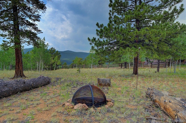 111 Mount Evans Dr, Bailey, CO 80421 - photo 37