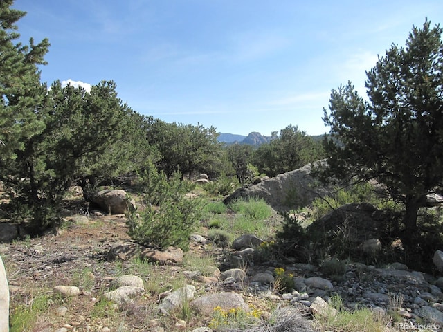 30025 Teal Run, Buena Vista CO, 81211 land for sale