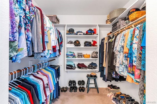 1041 Rockafellow Ct, Canon City, CO 81212 - view of spacious closet