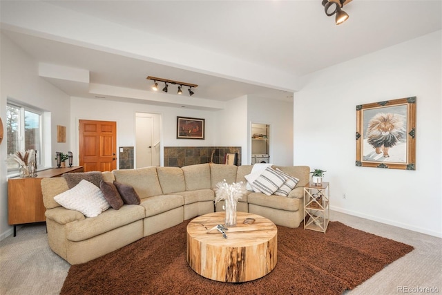 28364 Tresine Dr, Evergreen, CO 80439 - living area with track lighting and carpet
