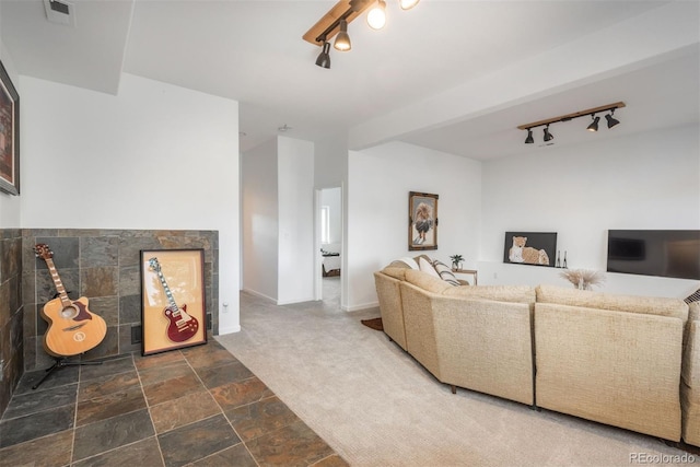 28364 Tresine Dr, Evergreen, CO 80439 - living area with track lighting, carpet flooring, and stone finish floors