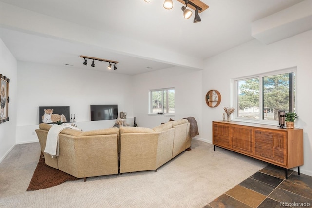 28364 Tresine Dr, Evergreen, CO 80439 - living area featuring track lighting and stone finish floors