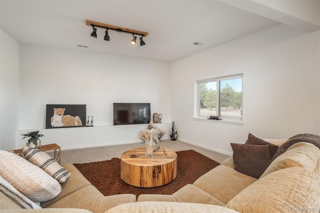 28364 Tresine Dr, Evergreen, CO 80439 - carpeted living room featuring track lighting and baseboards