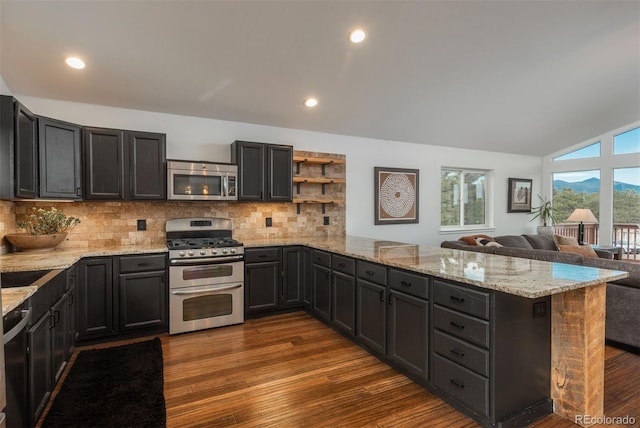28364 Tresine Dr, Evergreen, CO 80439 - kitchen with stainless steel appliances, a peninsula, light stone counters, dark wood-type flooring, and vaulted ceiling