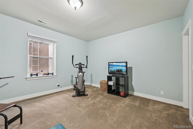 11346 E 27th Ave, Denver, CO 80238 - exercise area featuring a textured ceiling, carpet, and baseboards