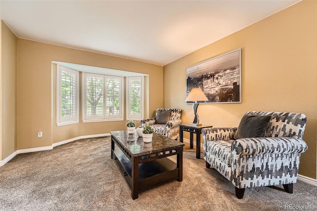 11522 Pine Grove Ln, Parker, CO 80138 - carpeted living room with baseboards