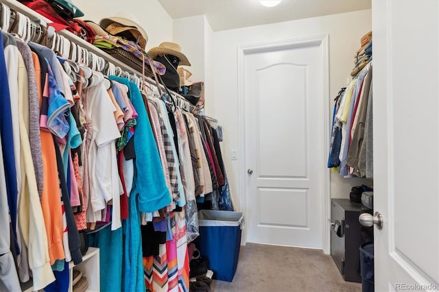 spacious closet featuring light carpet