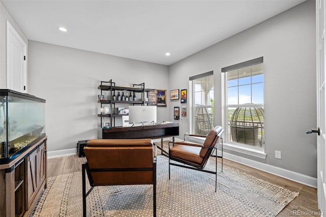 6737 S White Crow Way, Aurora, CO 80016 - office space featuring wood finished floors and recessed lighting