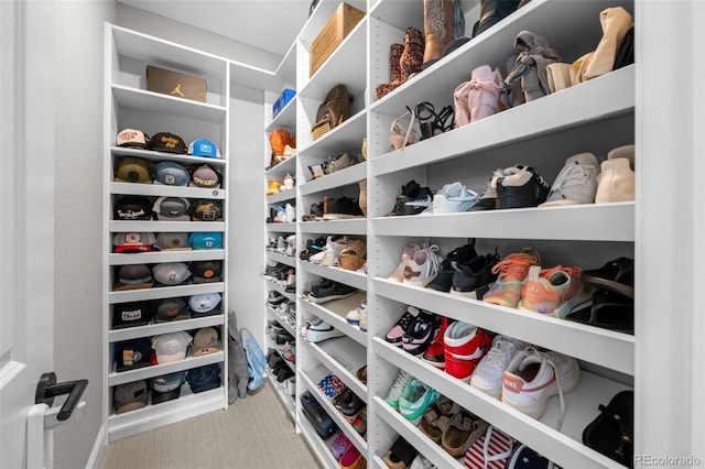 6737 S White Crow Way, Aurora, CO 80016 - walk in closet featuring carpet floors