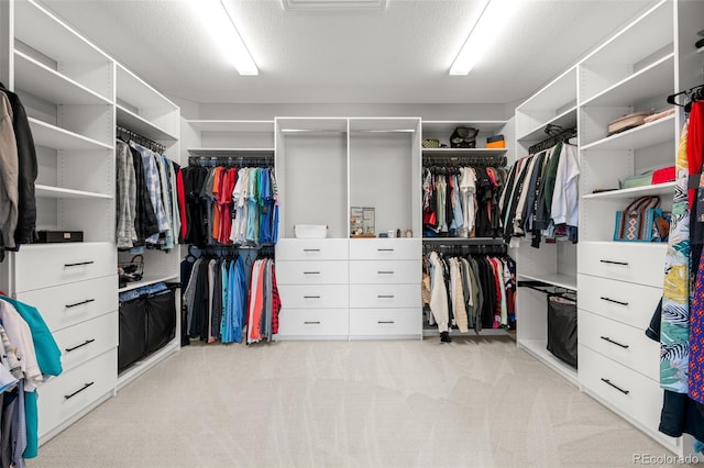 6737 S White Crow Way, Aurora, CO 80016 - spacious closet with light colored carpet