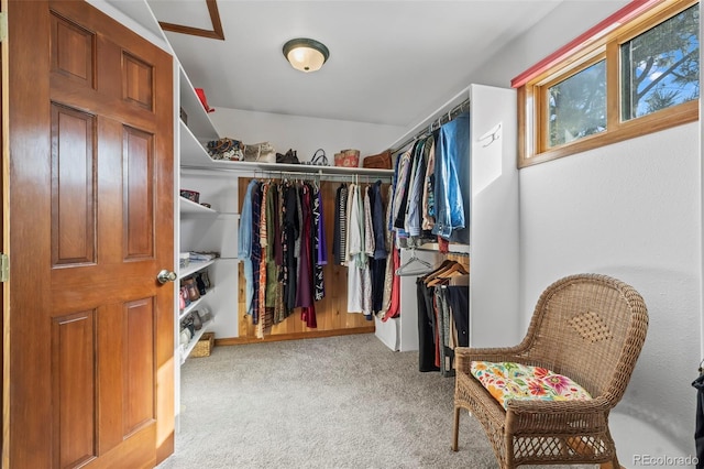 spacious closet with carpet floors