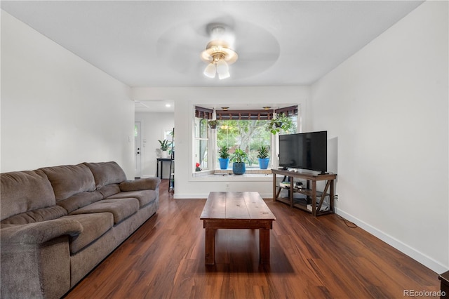 8820 Poze Blvd, Thornton, CO 80229 - living room with dark wood-style floors and a ceiling fan